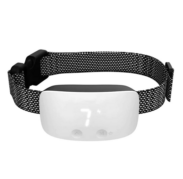Anti bark and training collar best sale